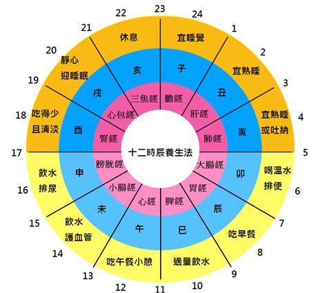 十二時辰養生對照表|一張圖看十二經絡養生時間表，依循作息養生事半功。